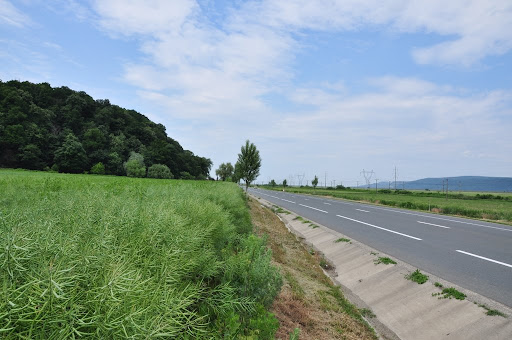 Road