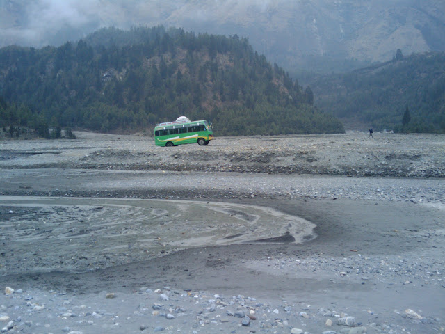 Notice the the bus says Save the Environment on the top