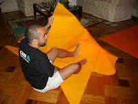 MSS