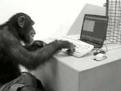 monkeycomputer