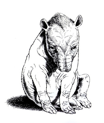 Tapir