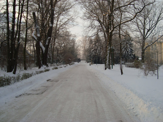 Zima we wrocławskim zoo