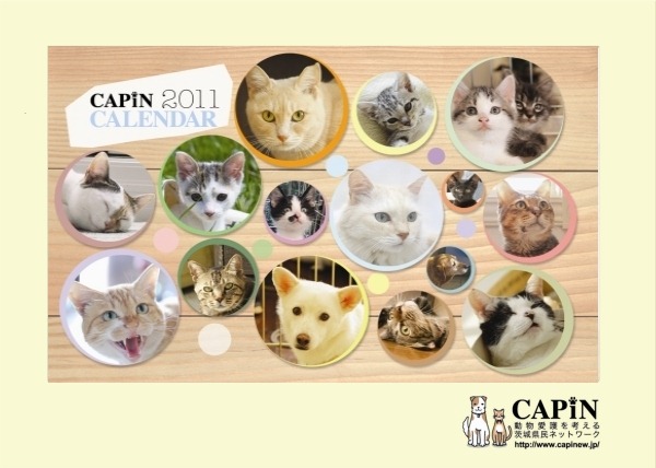 [capin-calendar13.jpg]