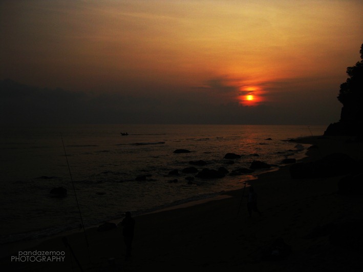 IMG_3795 IMG_3795