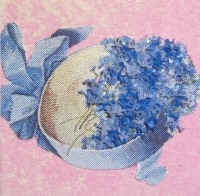 [Blue flowers[2].jpg]