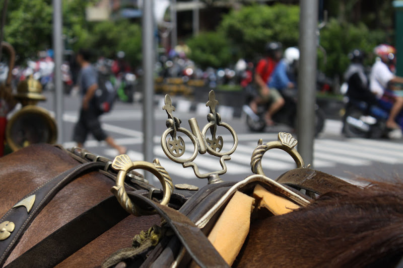 Horse decoration_Jl Marlioboro_New Years Eve_Jogjakarta_Indonesia
