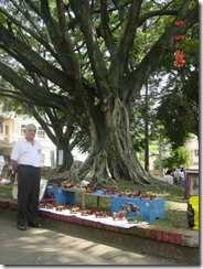 Imagen041