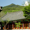 Previous