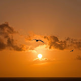 Beautiful Cornish sunsets