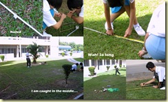 2010-07-295 2010-07-295