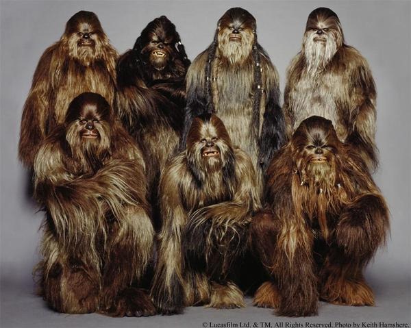[wookie1[11].jpg]
