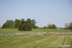 DPP_0023.jpg