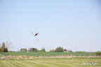 DPP_0028.jpg