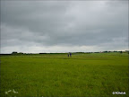 DSC02517.jpg