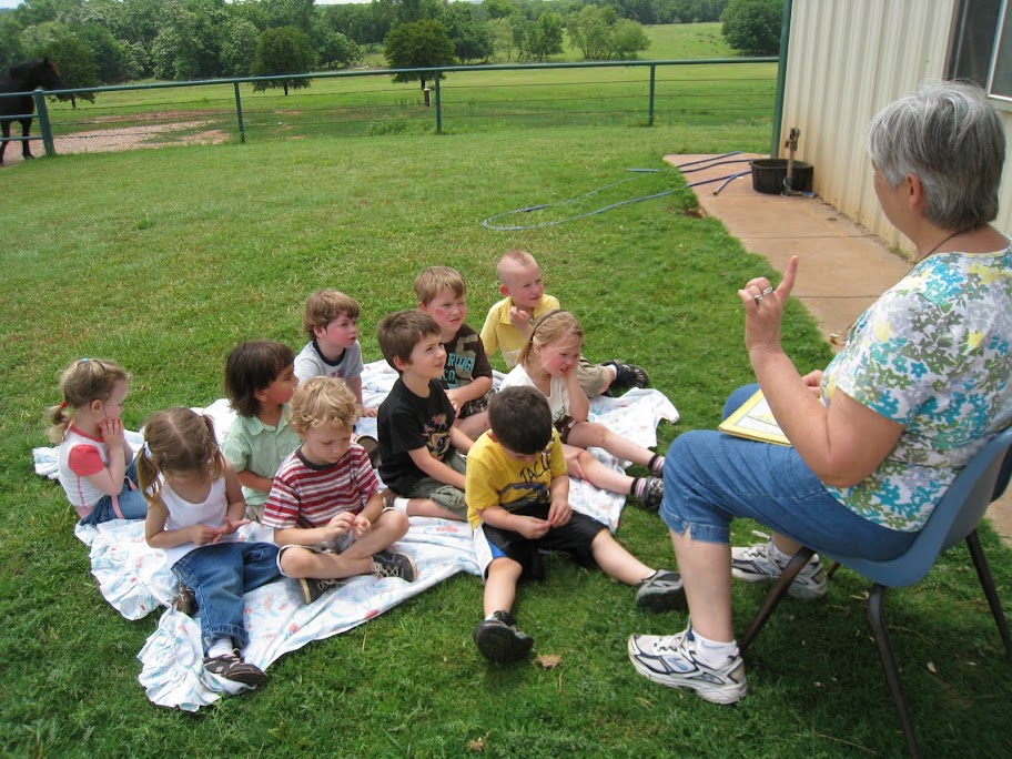 Egg Farm Photos