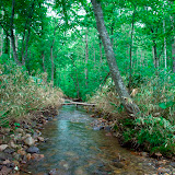 _0016145.JPG