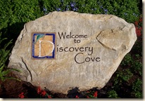 discovery cove discovery cove
