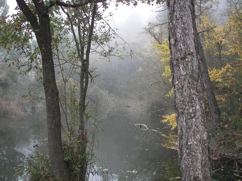 [100_0921[3].jpg]