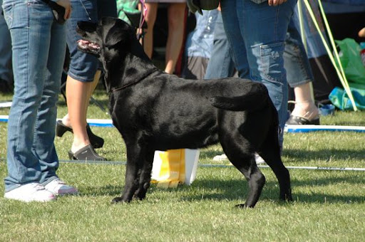  2008
