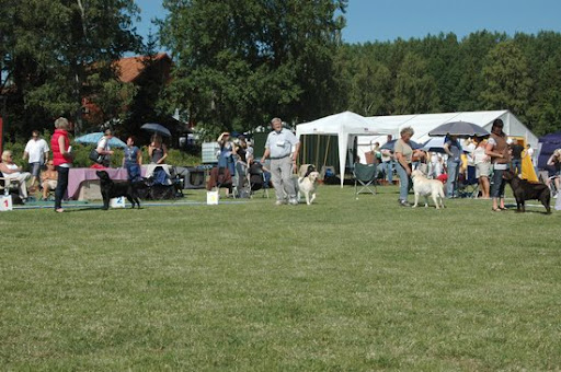  2008