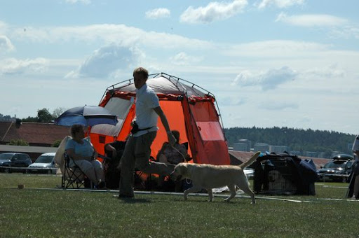  2008