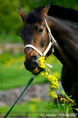 Опубликованное фото