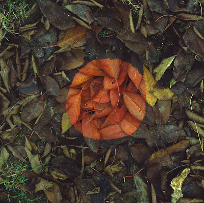 Andy Goldsworthy Leafs