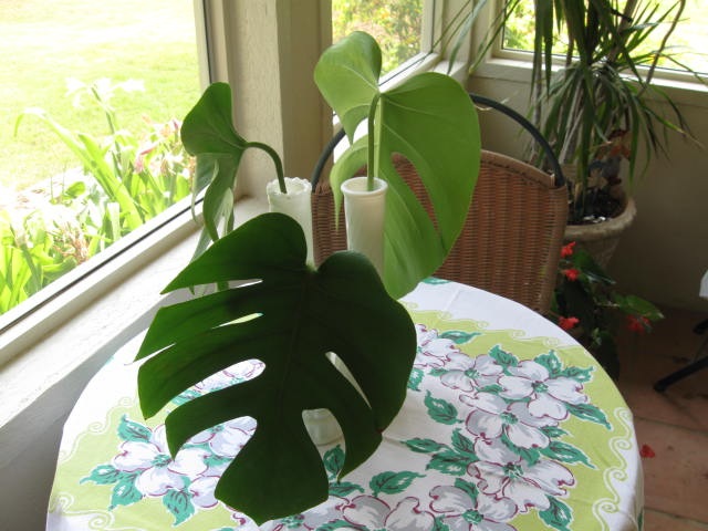 [May20090572.jpg]