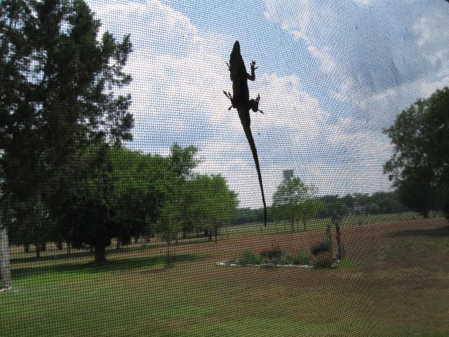[May20090705.jpg]