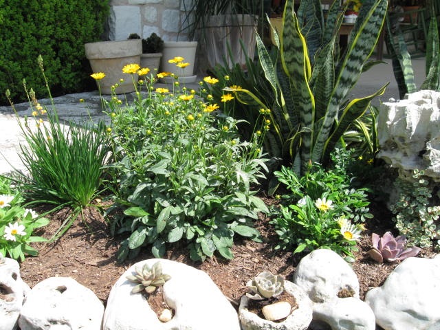 [May 2009 Paper cowgirl pages succulent garden 001[5].jpg]