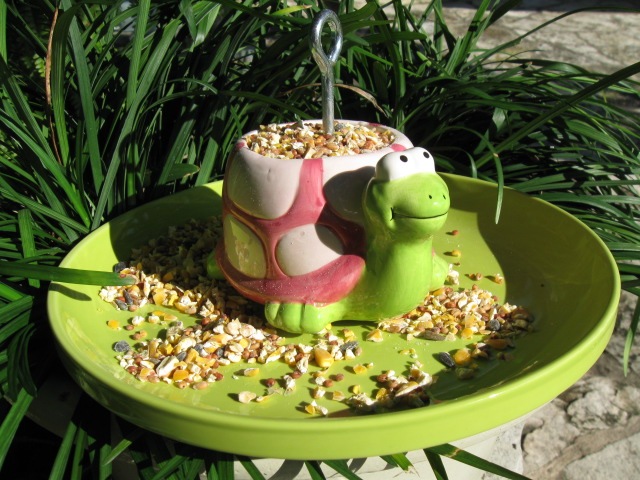 [books and birdfeeders 09 012[3].jpg]