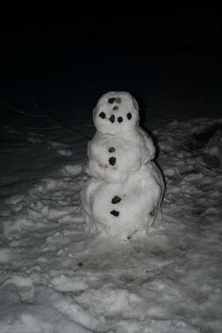 [SnowmanBack2.jpg]