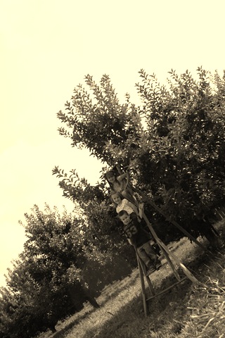 [ApplePicking2009-21.jpg]