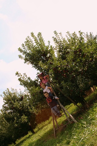 [ApplePicking2009232.jpg]