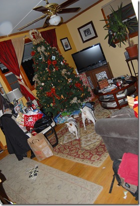 Christmas 2009 002