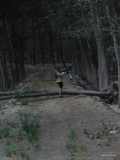 saltando la aventura