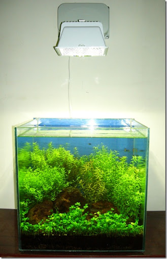 Картинка с форума