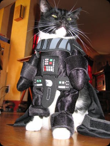cool star wars photos Darth Cat Cool Star wars Pics fact: During the Battle 
