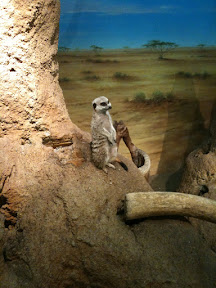 IMG_0219.jpg IMG_0219.jpg