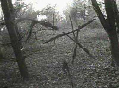 [blair-witch-project-photo2[3].jpg]