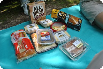 picnic spread