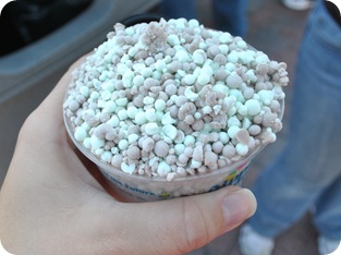 mint chocolate dippin' dots