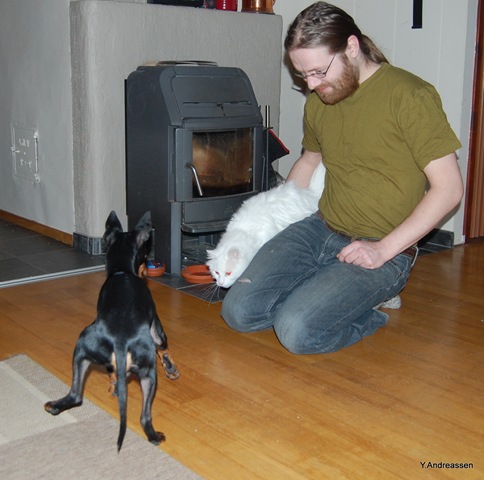[DSC_1453[3].jpg]