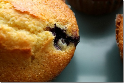 muffin-rachellake