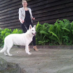 album Sasja