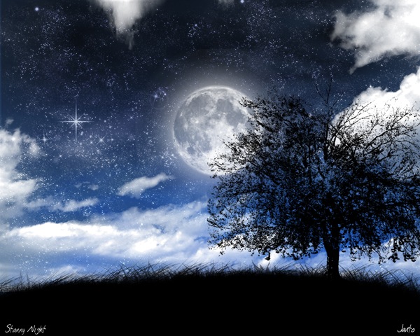 [Starry_Night_by_JJGP[3].jpg]
