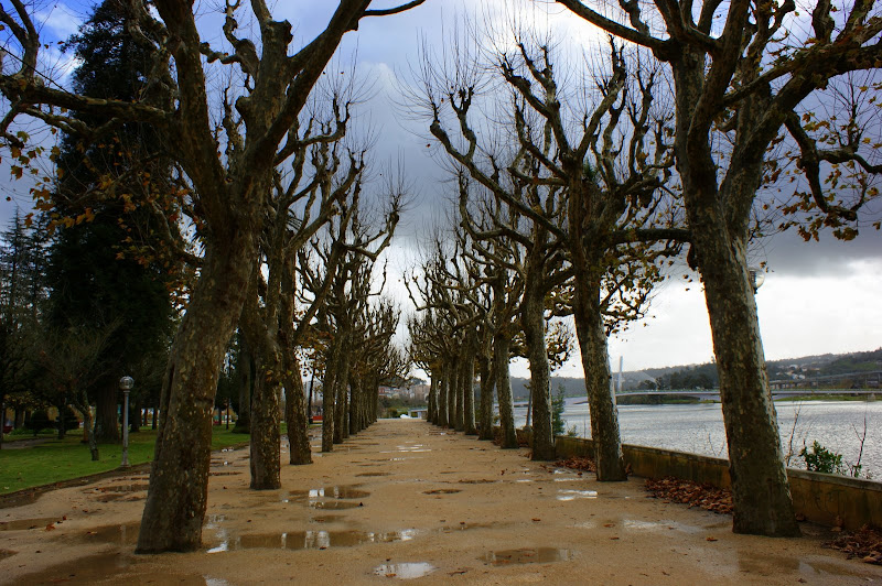 Coimbra, Jardim junto ao Mondego