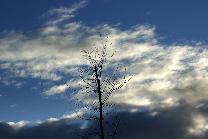 O pensamento tem poder infinito ....