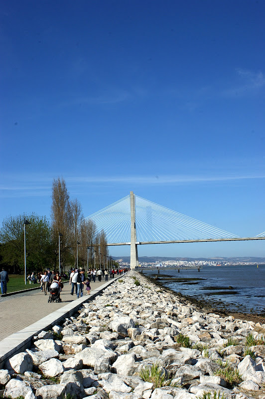 Ponte Vasco da Gama
