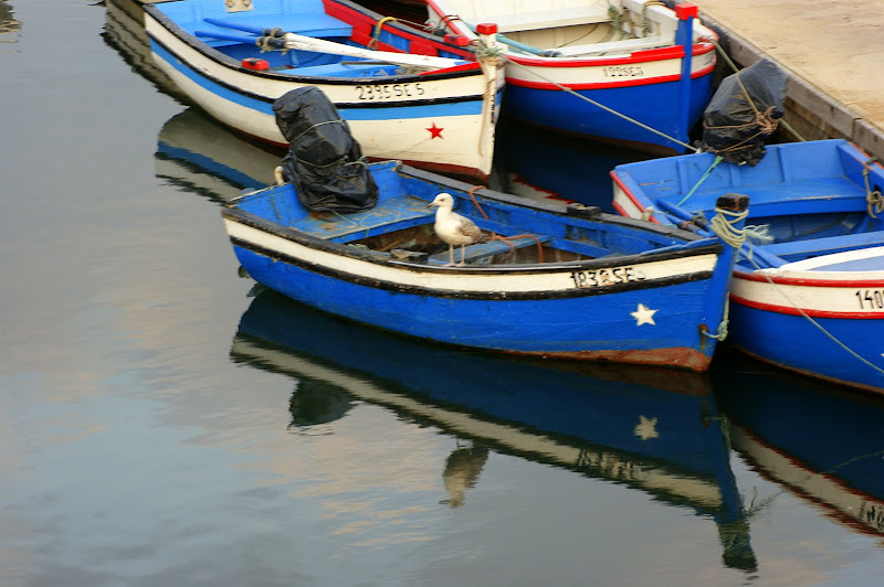 Docapesca de Setúbal